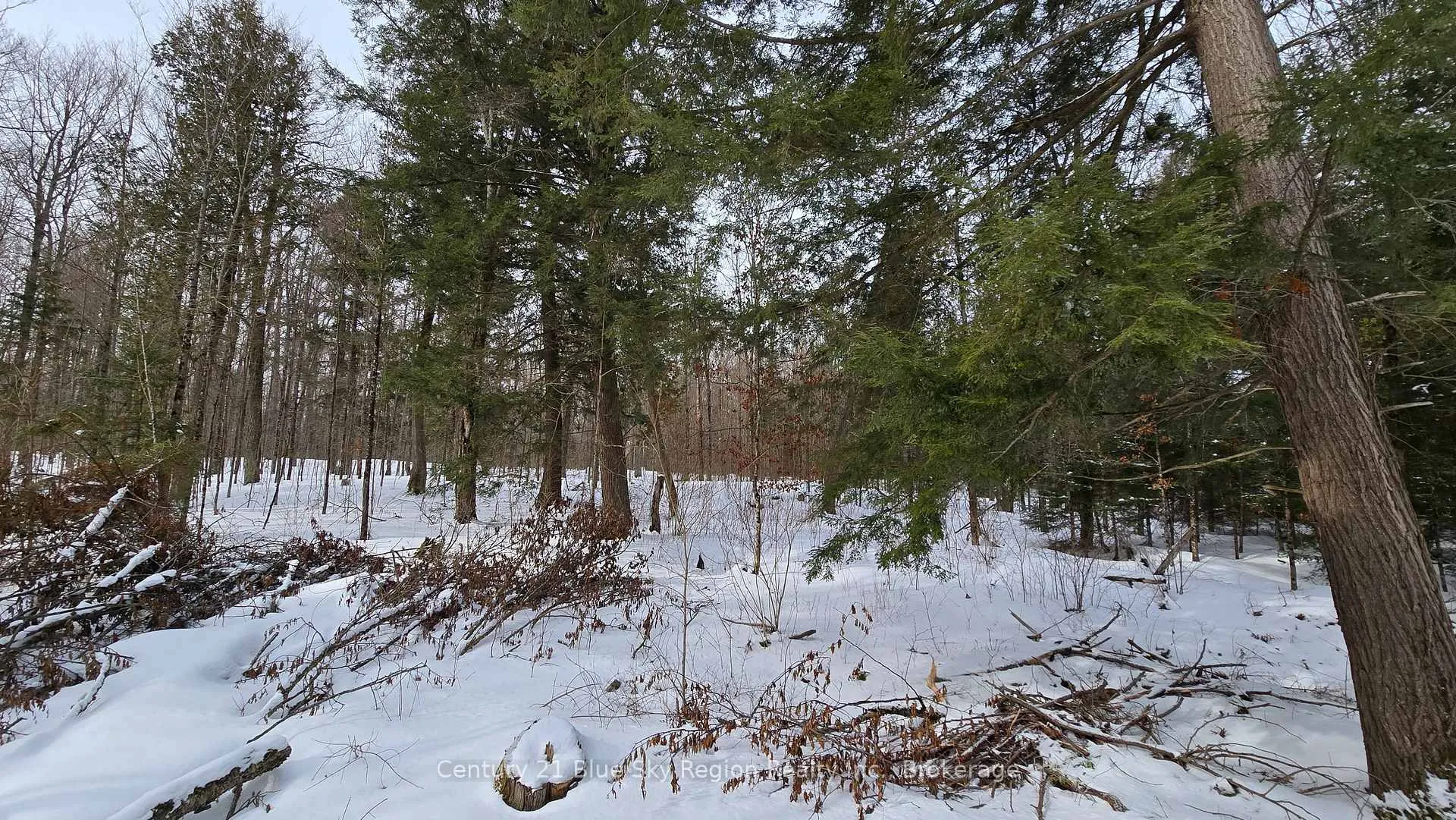 Photo 9 of 97 Maple Road, Chisholm — HOMEH
