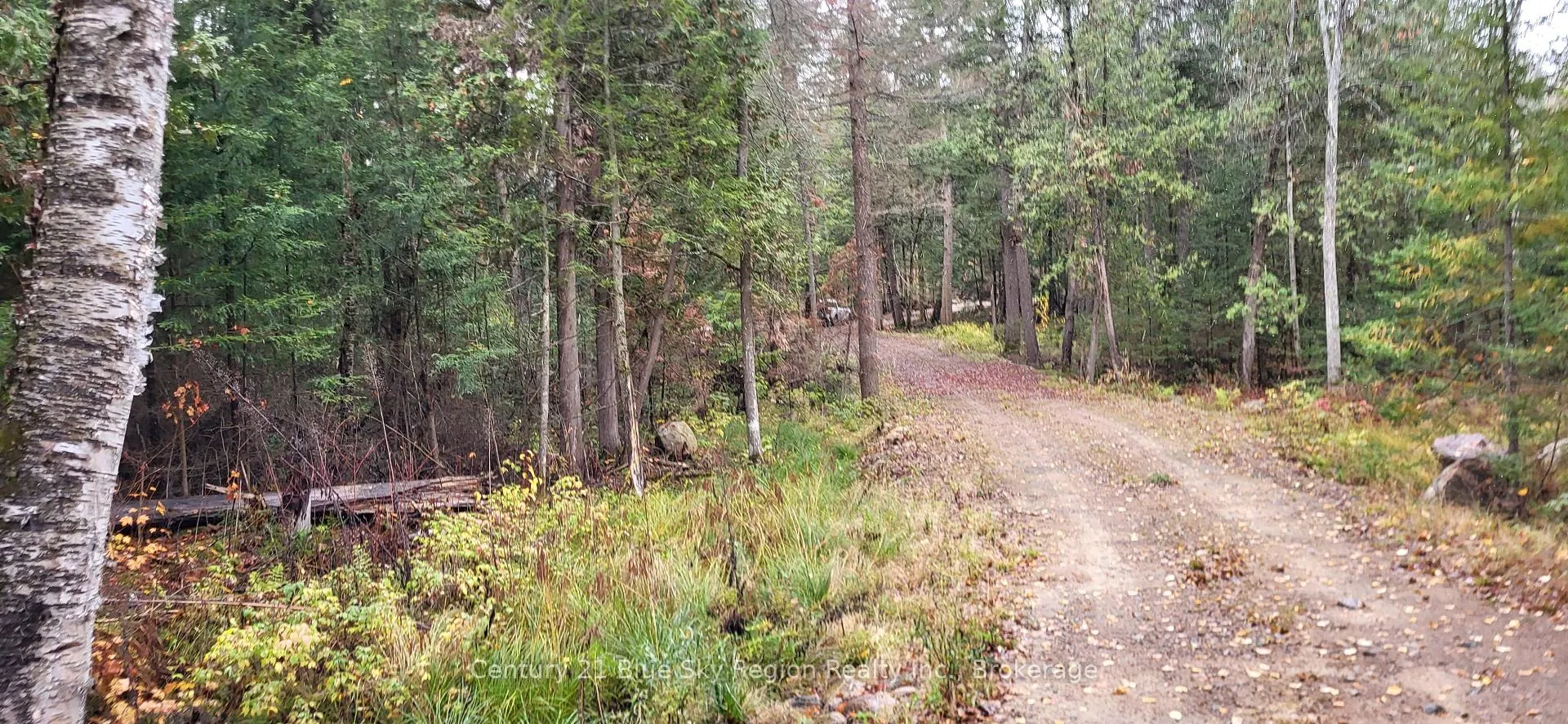 Photo 16 of 97 Maple Road, Chisholm — HOMEH
