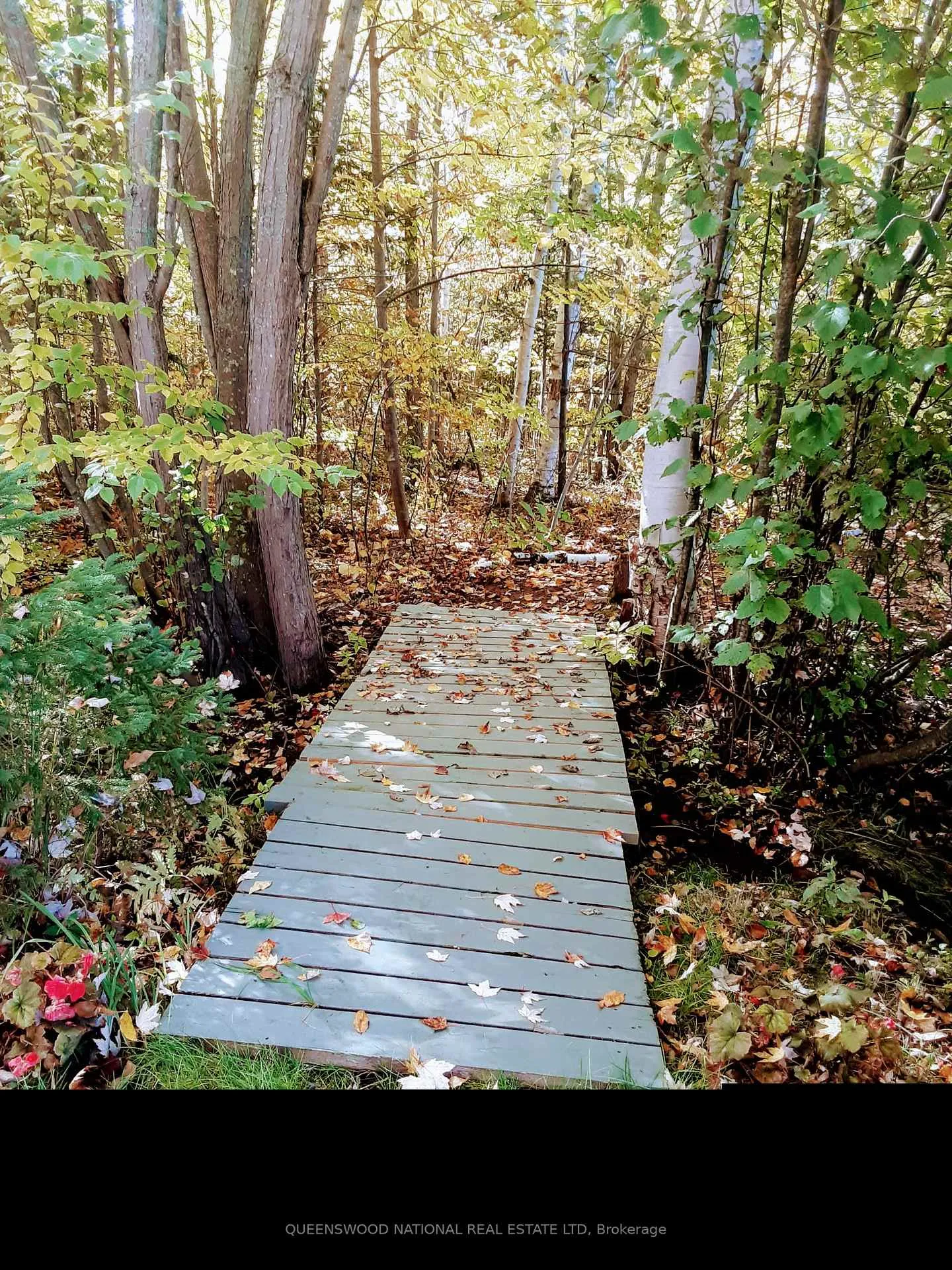 Photo 50 of 42125 Combermere Road NE, Madawaska Valley, Madawaska Valley — HOMEH