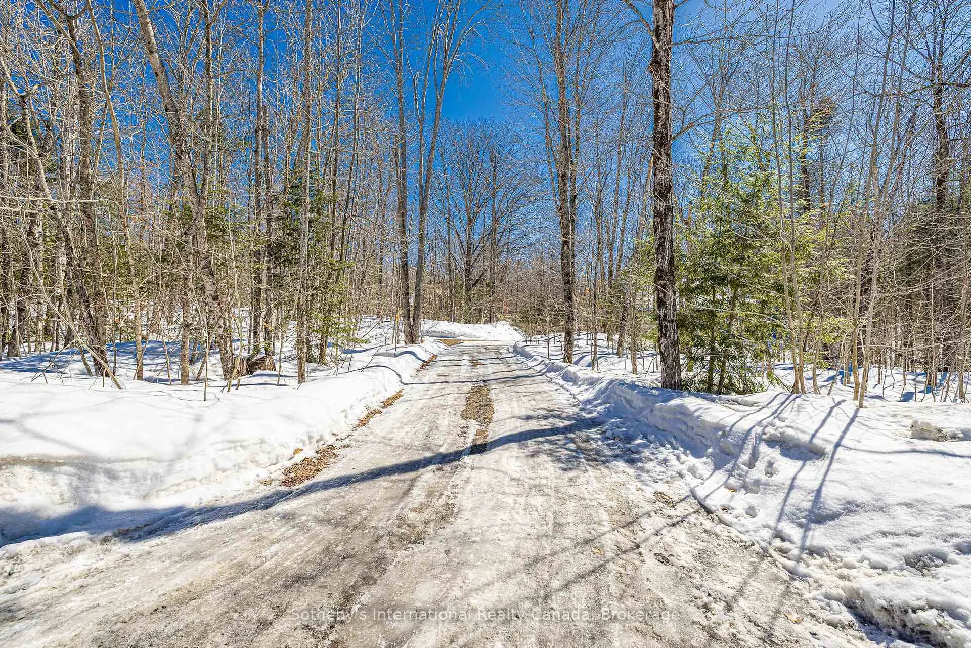 Photo 6 of 98 Black Road, Seguin — HOMEH