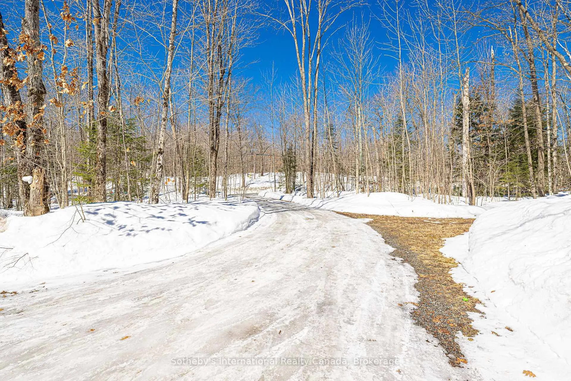 Photo 11 of 98 Black Road, Seguin — HOMEH