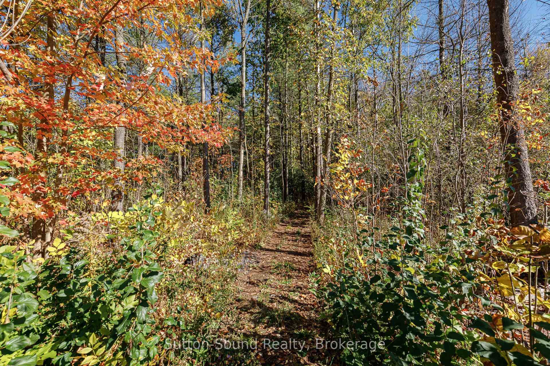Photo 50 of 303277 33 Side Road, Meaford — HOMEH