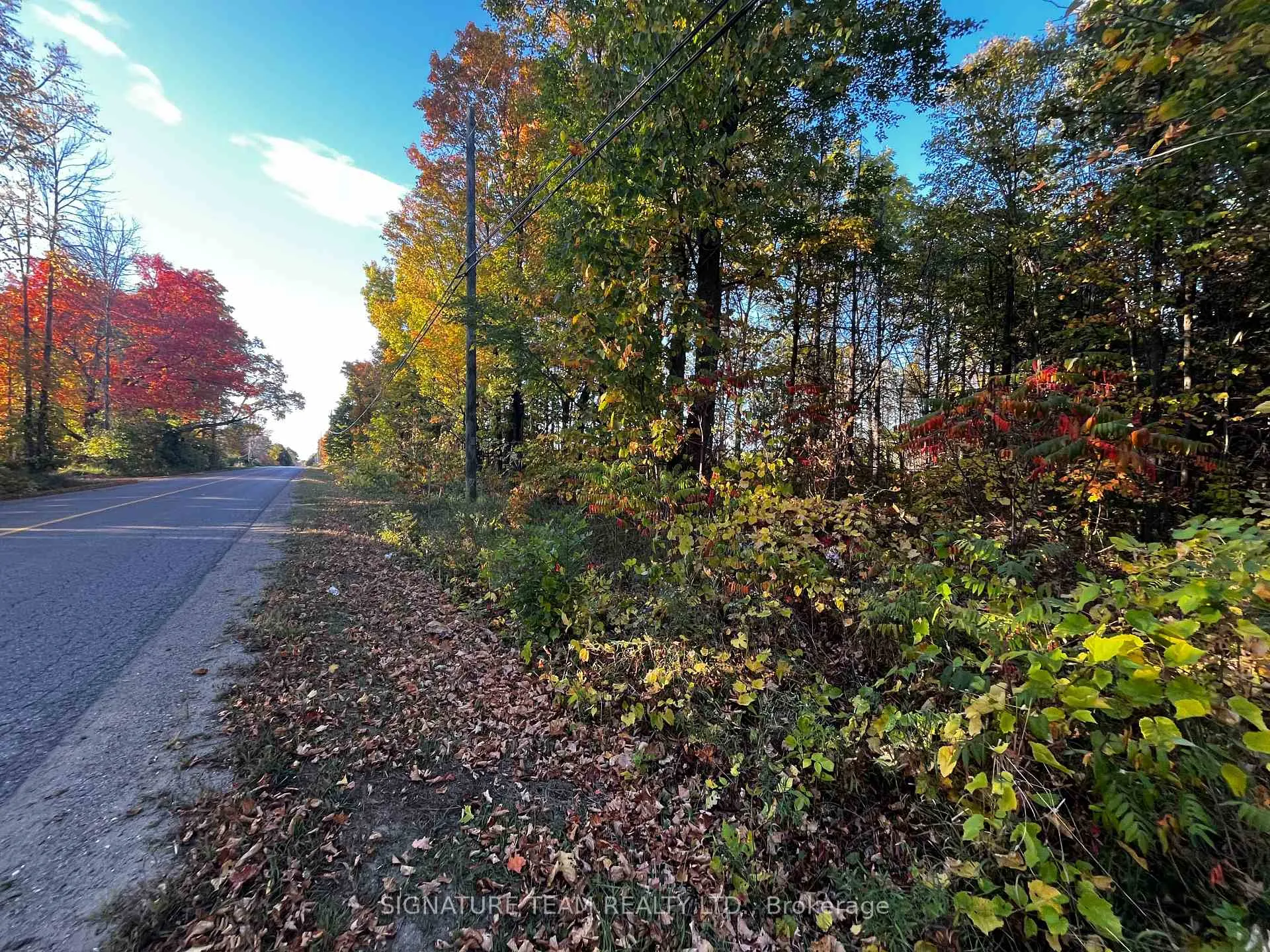 Photo of lot 0 Bellamy Road