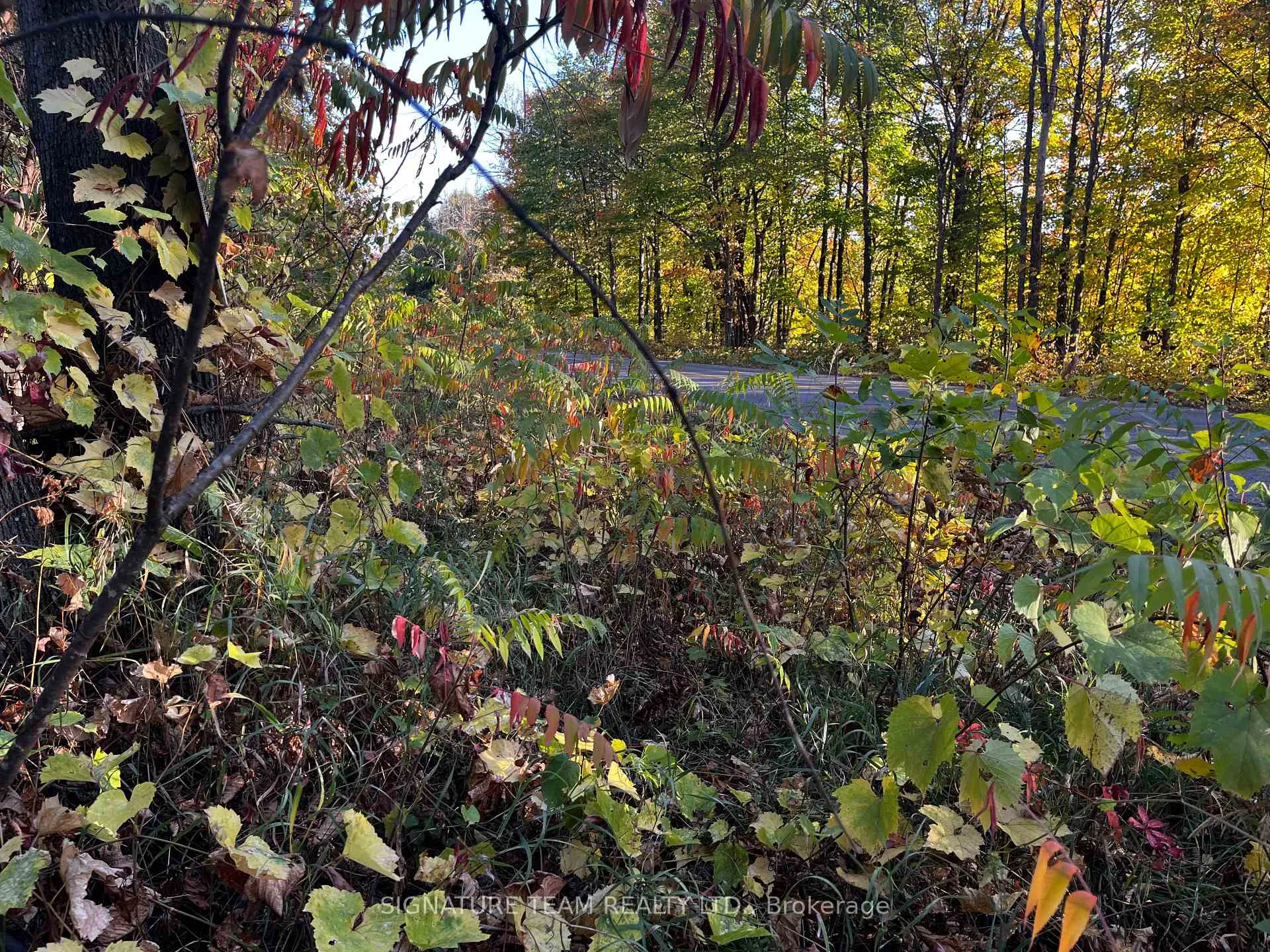 Photo 5 of lot 0 Bellamy Road, McNab/Braeside, Mcnab/Braeside Twps — HOMEH