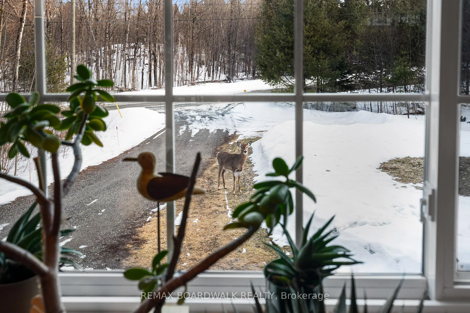Photo 10 of 228 Stewart Gibson Road, Lanark Highlands, Lanark Highlands (Lanark) Twp — HOMEH