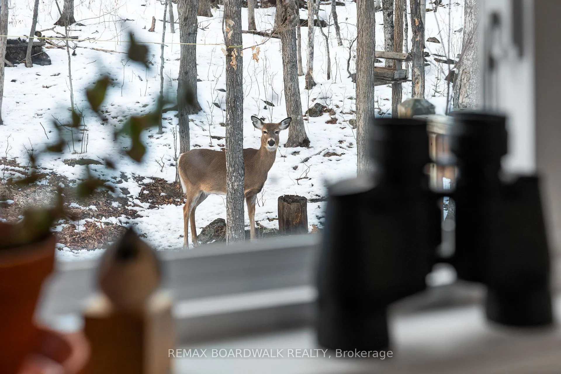 Photo 21 of 228 Stewart Gibson Road, Lanark Highlands, Lanark Highlands (Lanark) Twp — HOMEH
