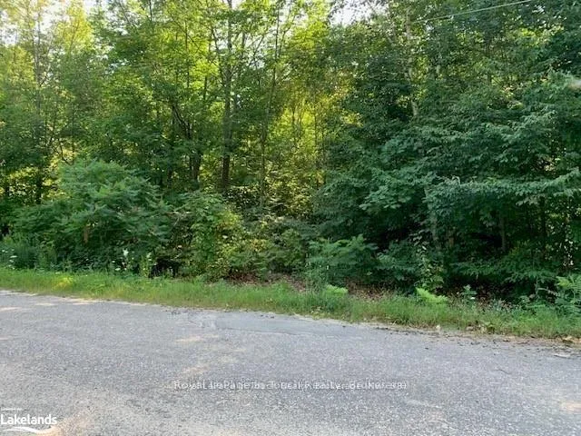 Photo 4 of LT 60 Oneida Crescent, Tiny, Rural Tiny — HOMEH