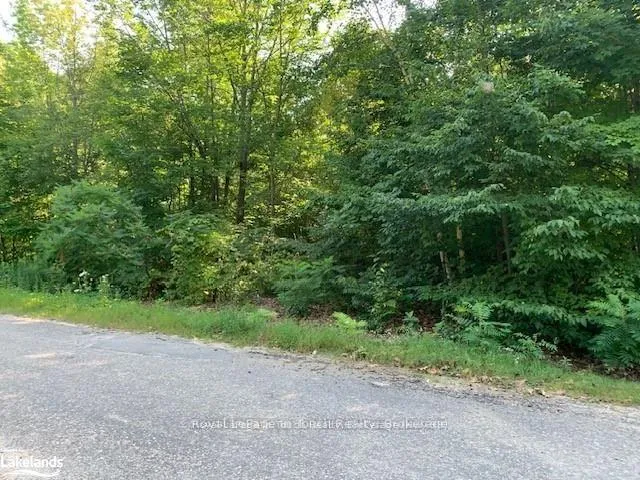 Photo 5 of LT 60 Oneida Crescent, Tiny, Rural Tiny — HOMEH