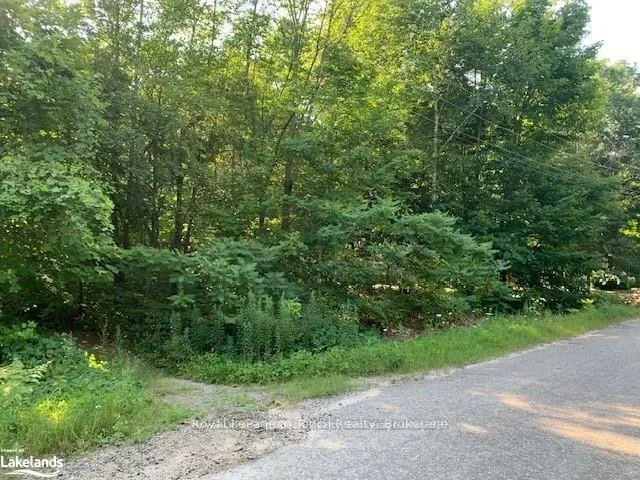 Photo 6 of LT 60 Oneida Crescent, Tiny, Rural Tiny — HOMEH