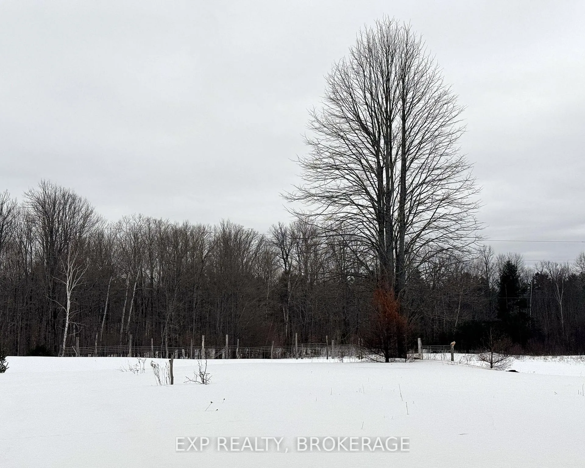 Photo 4 of 2260 Fifth Lake Road, Frontenac, Frontenac Centre — HOMEH
