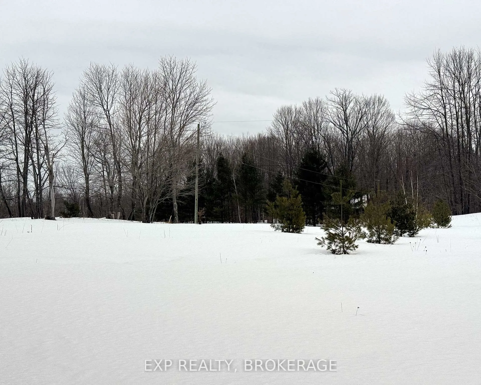 Photo 9 of 2260 Fifth Lake Road, Frontenac, Frontenac Centre — HOMEH