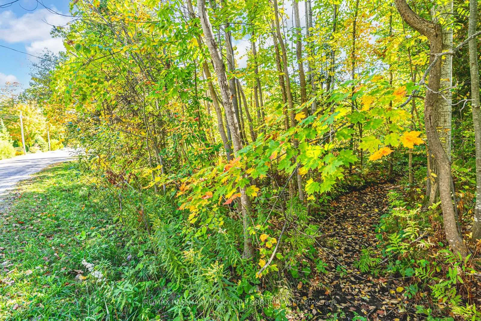 Photo 9 of 138 Moreau Parkway, Tiny, Rural Tiny — HOMEH
