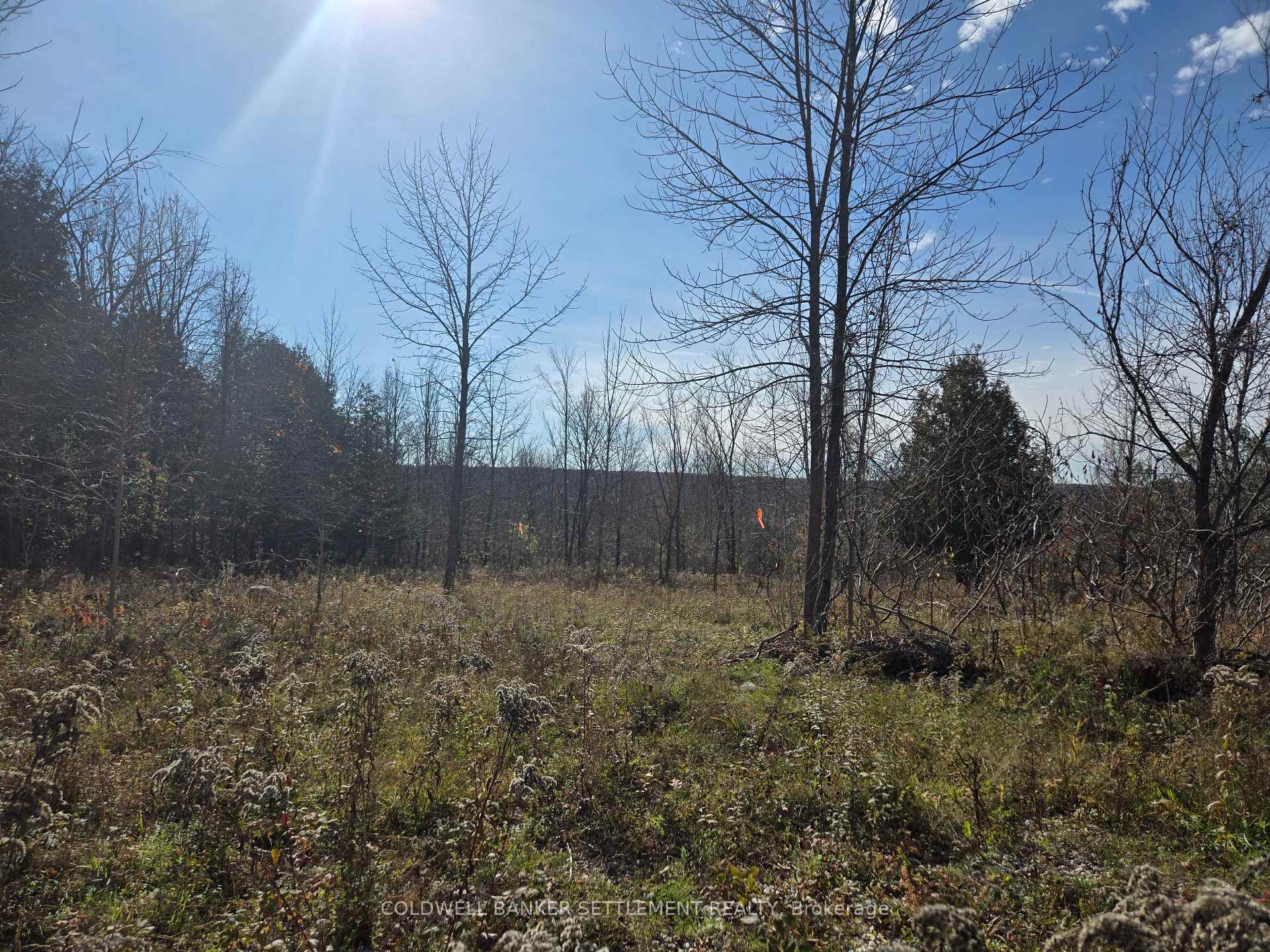 Photo 1 of Dalhousie Con 8 Road, Lanark Highlands, Lanark Highlands (Dalhousie) Twp — HOMEH