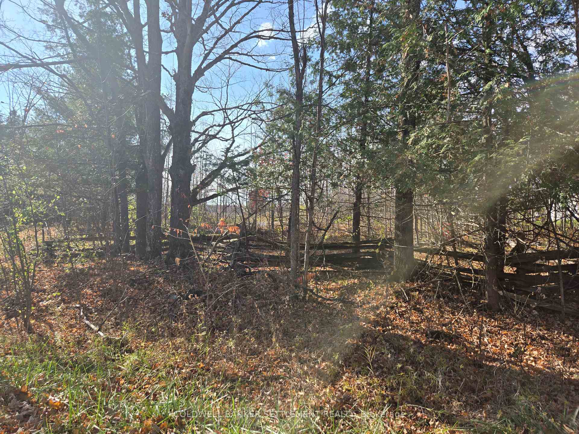 Photo 3 of Dalhousie Con 8 Road, Lanark Highlands, Lanark Highlands (Dalhousie) Twp — HOMEH