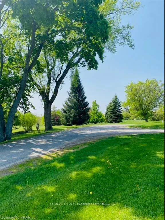 Photo 15 of Unit 101, 1354 Young's Point Road, Selwyn — HOMEH