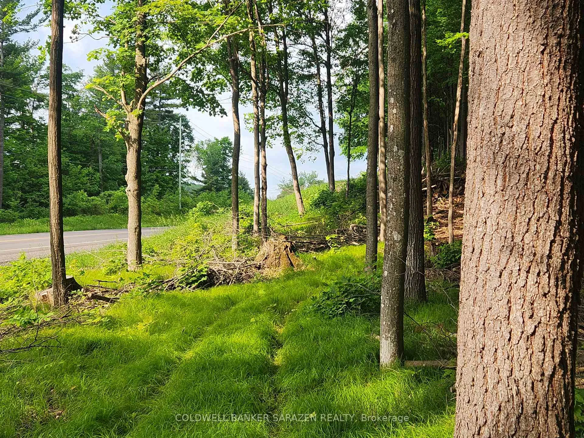Photo 2 of 1680 Calabogie Road, McNab/Braeside, Mcnab/Braeside Twps — HOMEH