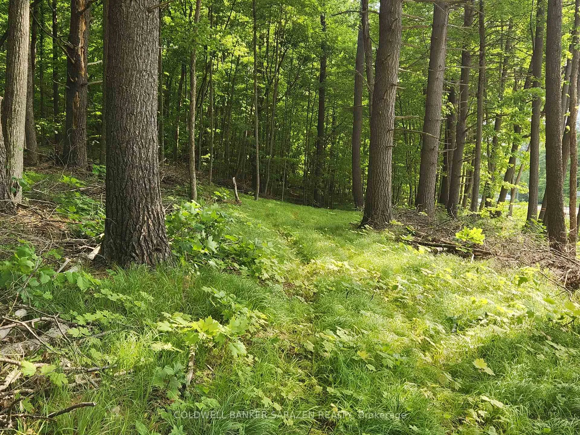 Photo 3 of 1680 Calabogie Road, McNab/Braeside, Mcnab/Braeside Twps — HOMEH