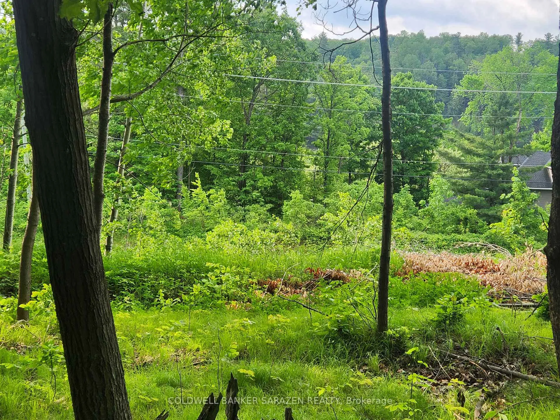 Photo 4 of 1680 Calabogie Road, McNab/Braeside, Mcnab/Braeside Twps — HOMEH