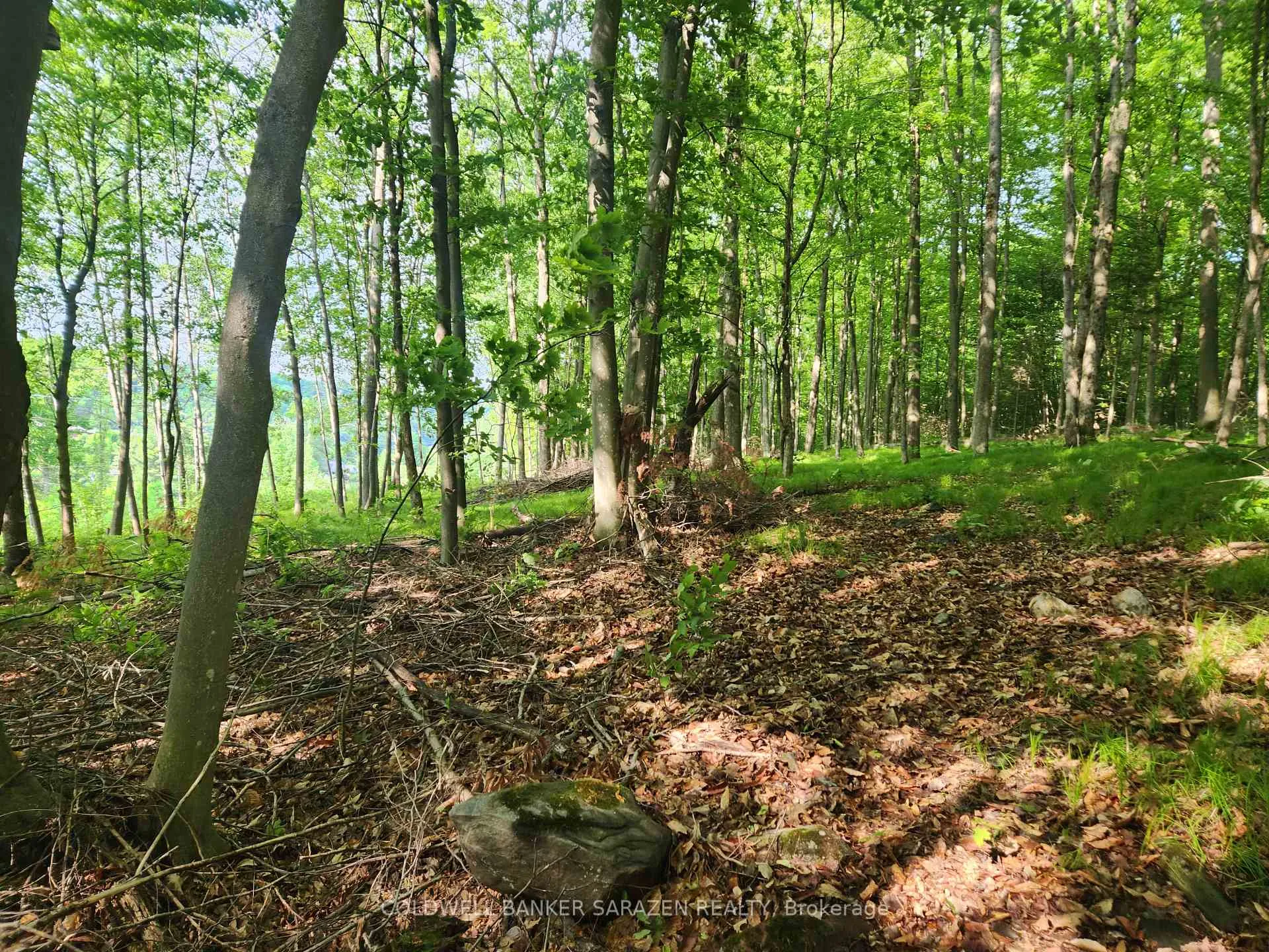 Photo 7 of 1680 Calabogie Road, McNab/Braeside, Mcnab/Braeside Twps — HOMEH