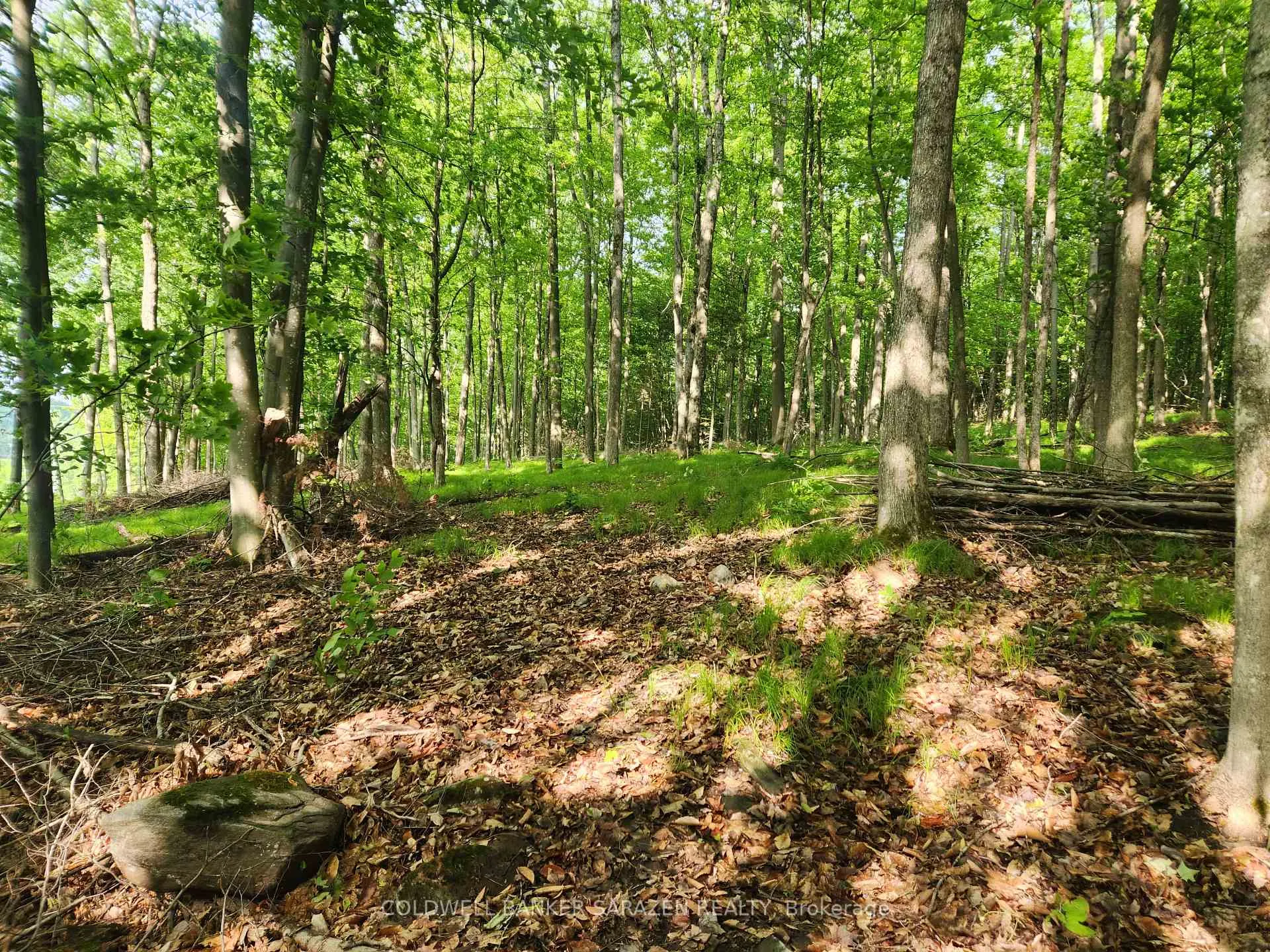 Photo 8 of 1680 Calabogie Road, McNab/Braeside, Mcnab/Braeside Twps — HOMEH