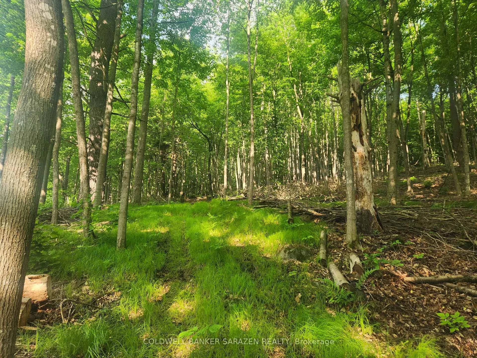 Photo 11 of 1680 Calabogie Road, McNab/Braeside, Mcnab/Braeside Twps — HOMEH