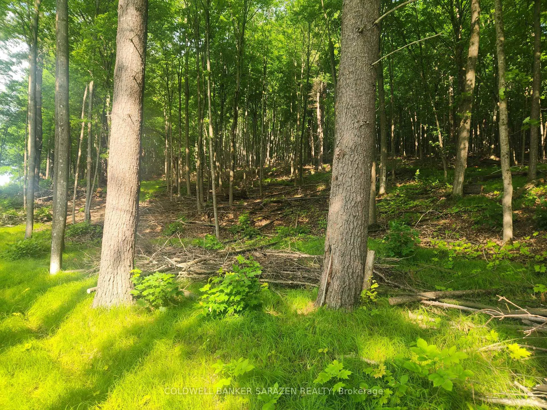 Photo 12 of 1680 Calabogie Road, McNab/Braeside, Mcnab/Braeside Twps — HOMEH