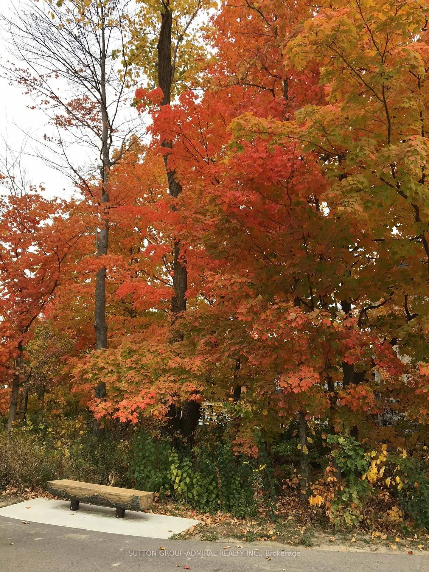 Photo 50 of 15 Stormont Trail, Vaughan, Vellore Village — HOMEH
