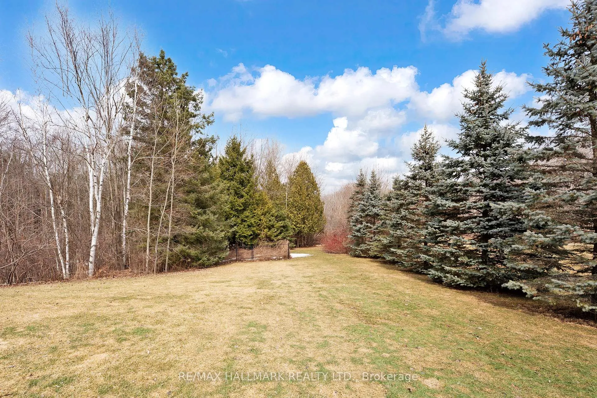 Photo 46 of 206 Churchill Avenue, King, Rural King — HOMEH