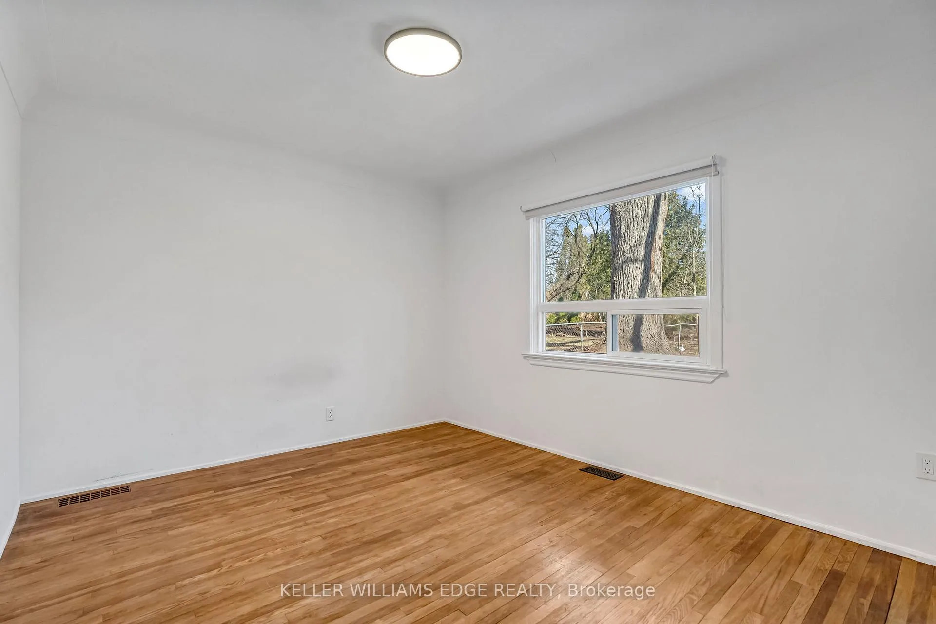 Photo 12 of 23 Clifford Street, Hamilton, Ainslie Wood — HOMEH