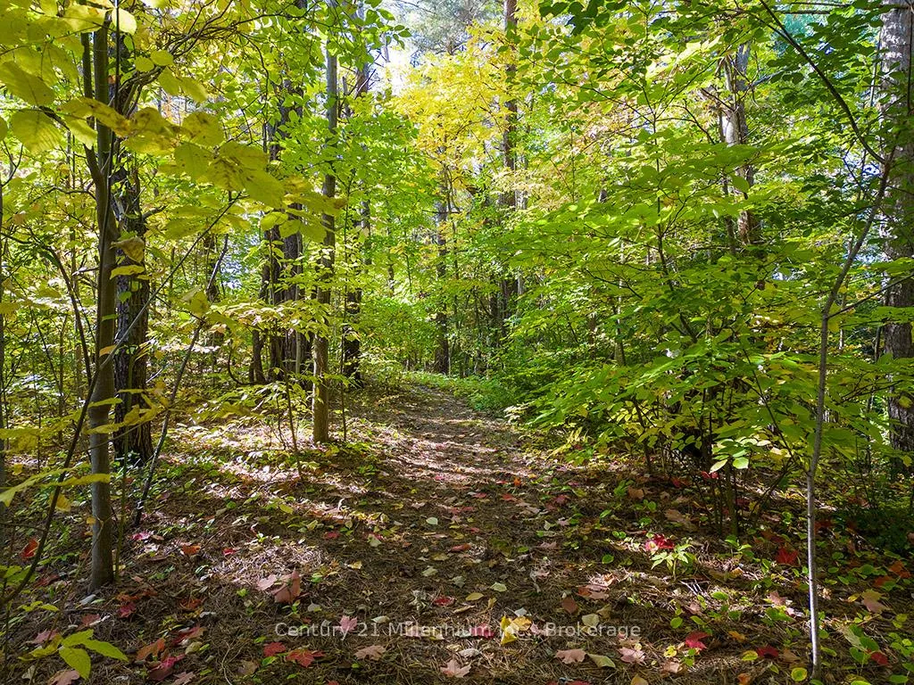 Photo 41 of 265797 25th Side Road, Meaford — HOMEH