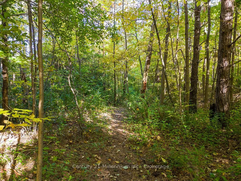 Photo 42 of 265797 25th Side Road, Meaford — HOMEH