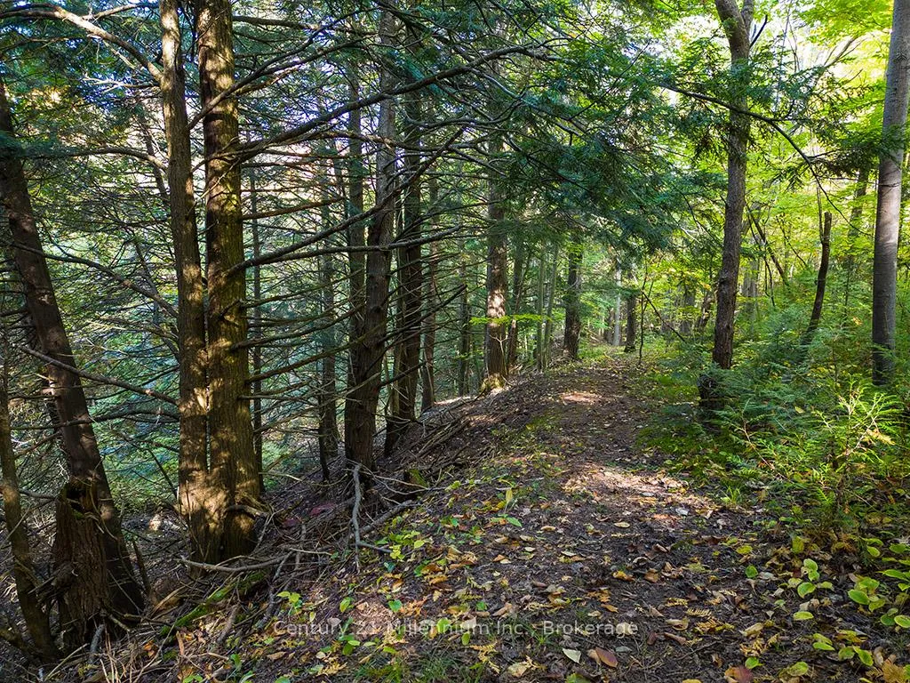 Photo 43 of 265797 25th Side Road, Meaford — HOMEH
