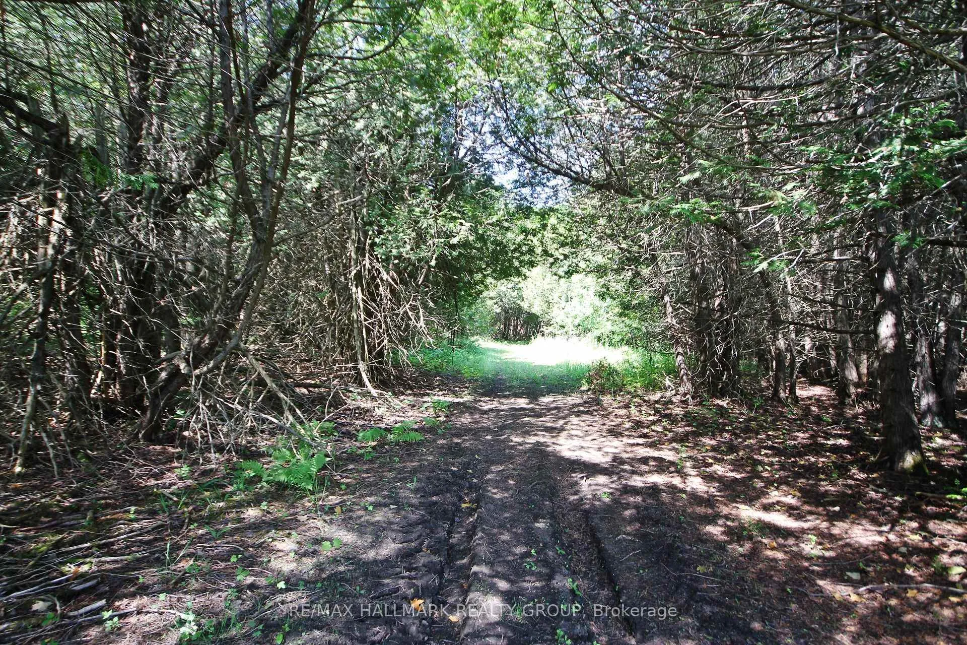 Photo 35 of 1352 County 43 Road Highway W, Montague, Montague Twp — HOMEH