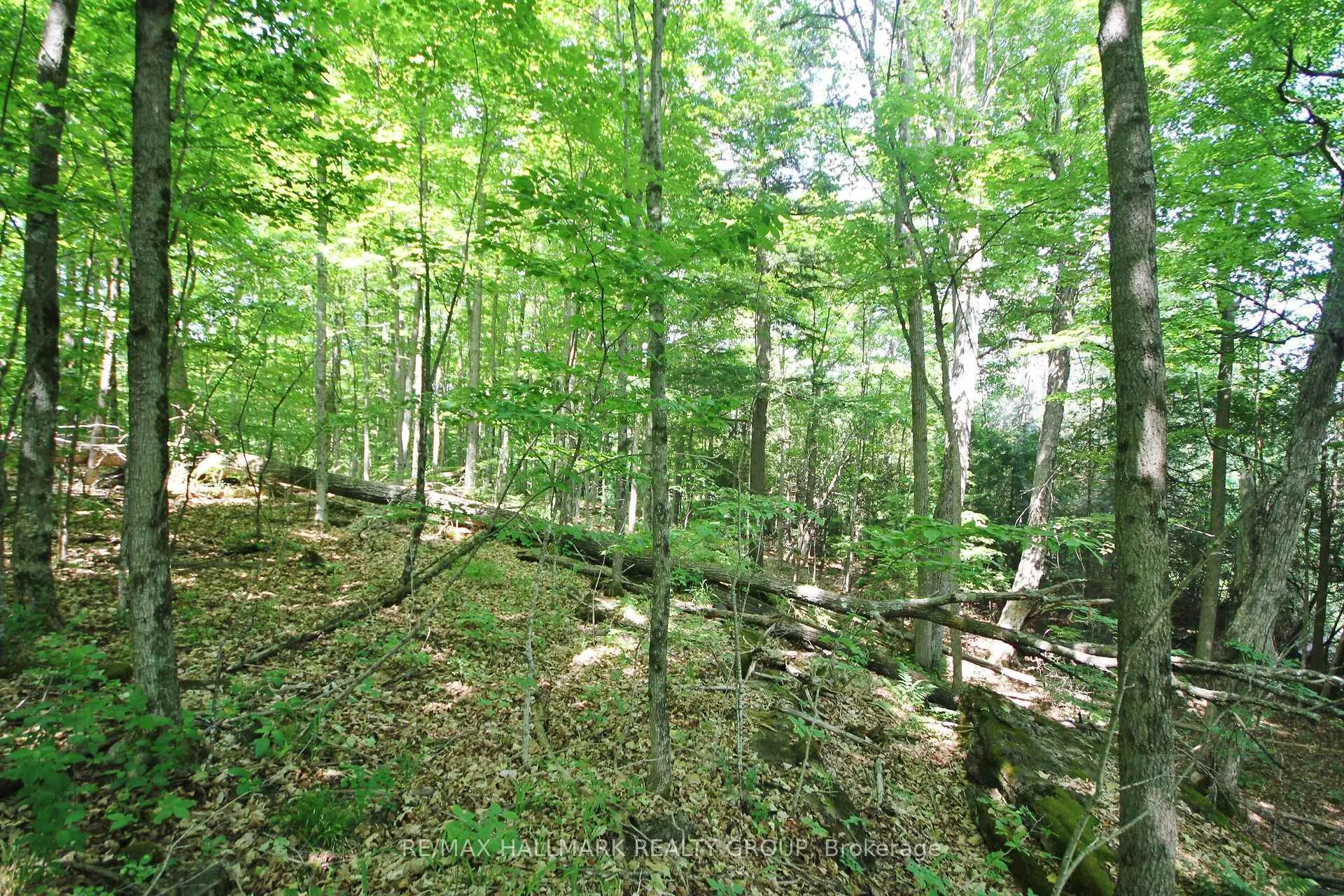 Photo 36 of 1352 County 43 Road Highway W, Montague, Montague Twp — HOMEH