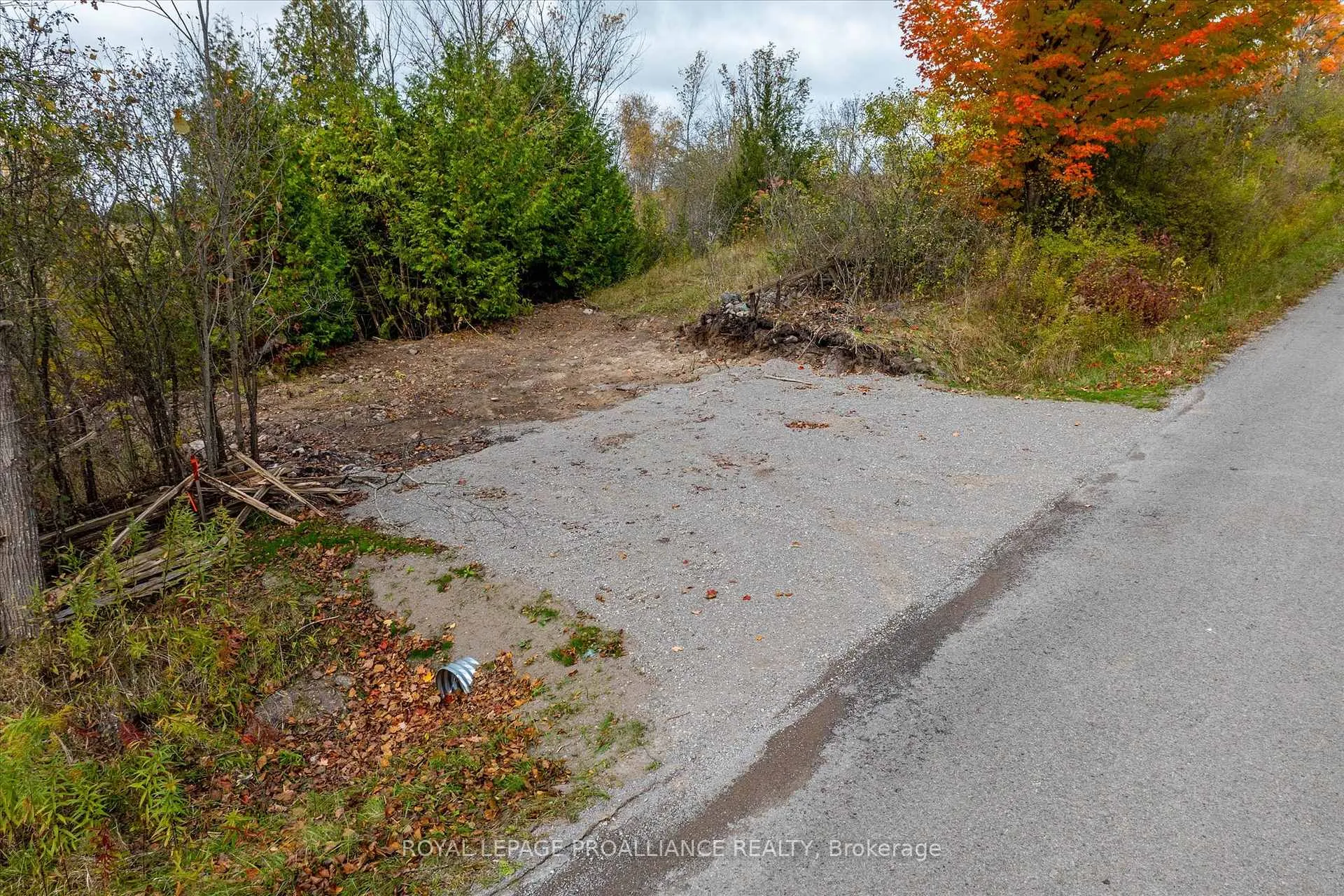 Photo 20 of Lot Centre Line, Selwyn — HOMEH