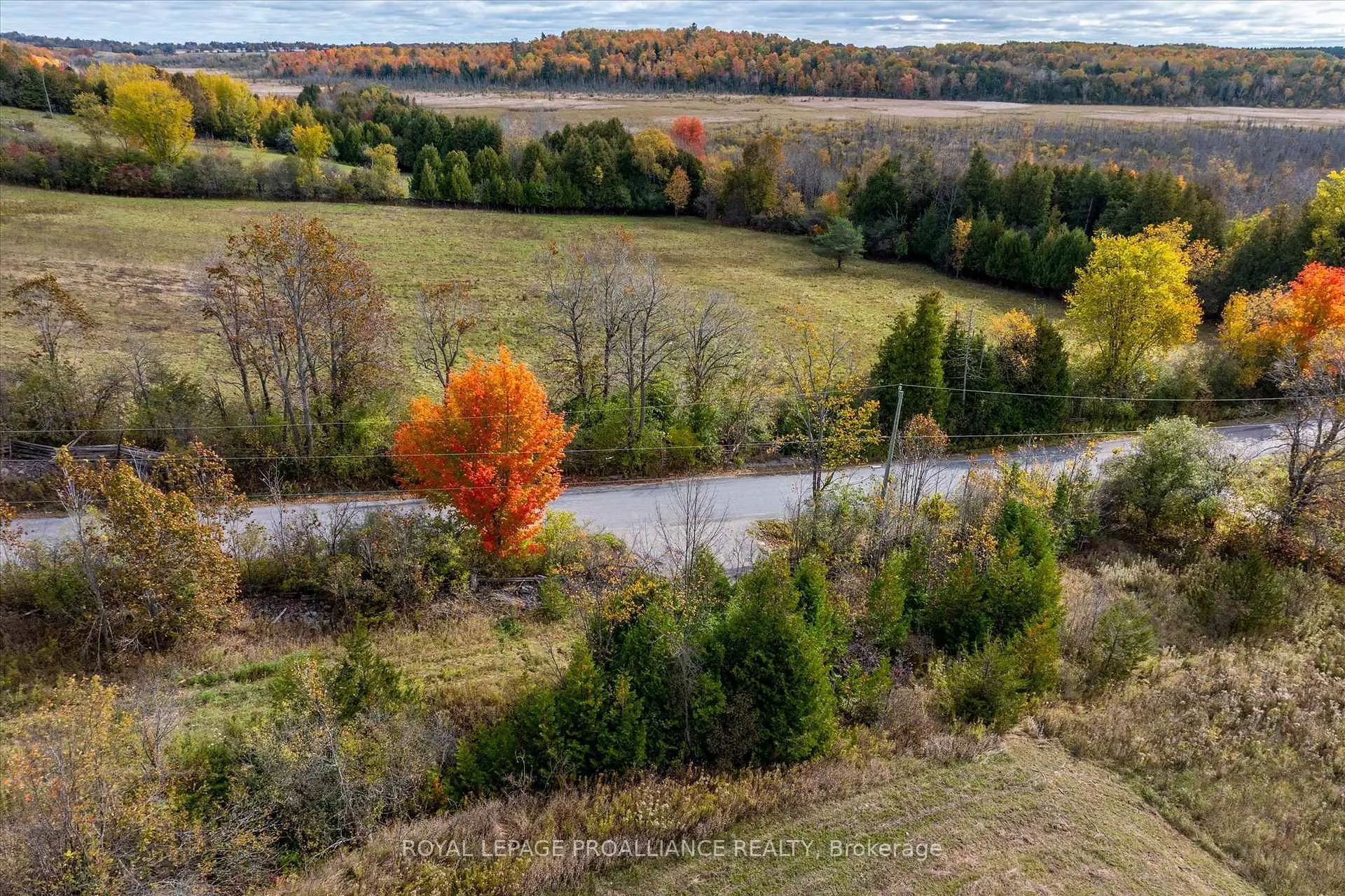 Photo 23 of Lot Centre Line, Selwyn — HOMEH