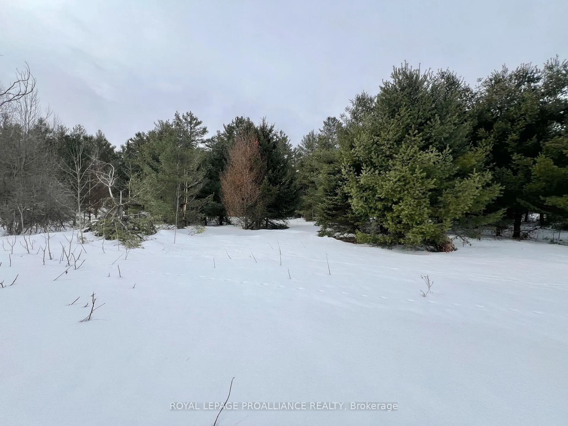 Photo 30 of 1297 Barry Road, Madoc — HOMEH