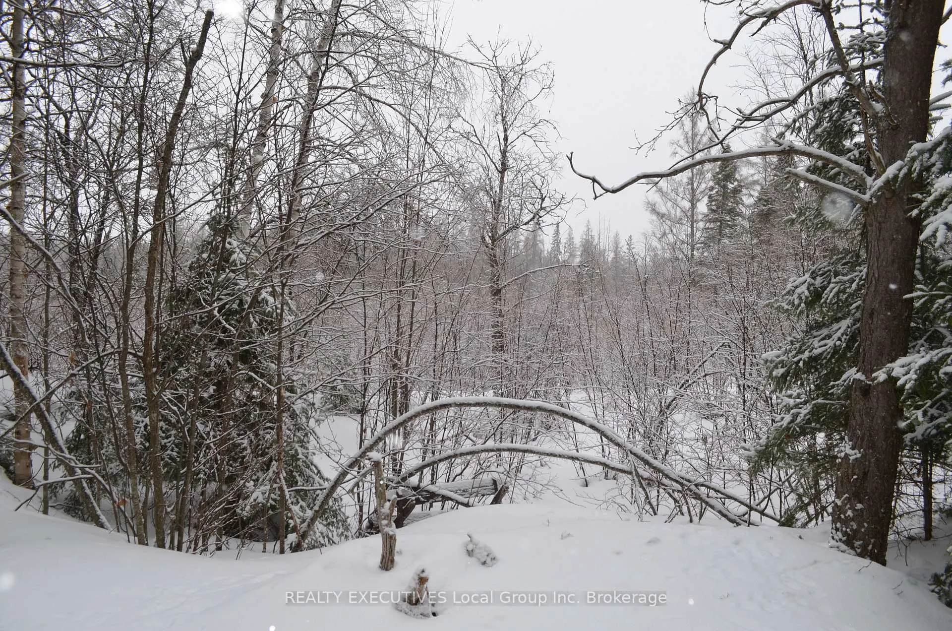 Photo 9 of 71 Black Creek Road N, Nipissing — HOMEH