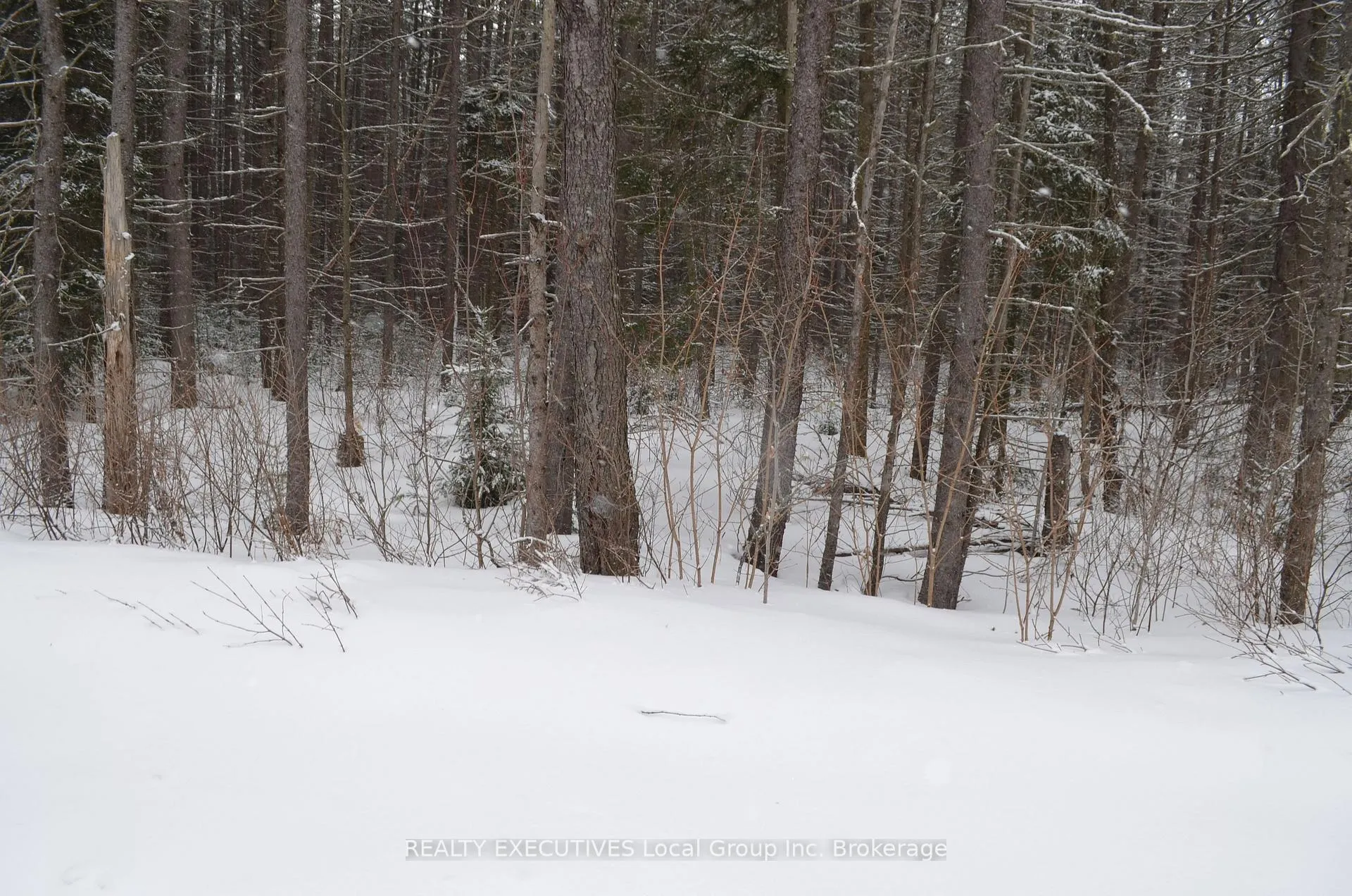 Photo 40 of 71 Black Creek Road N, Nipissing — HOMEH