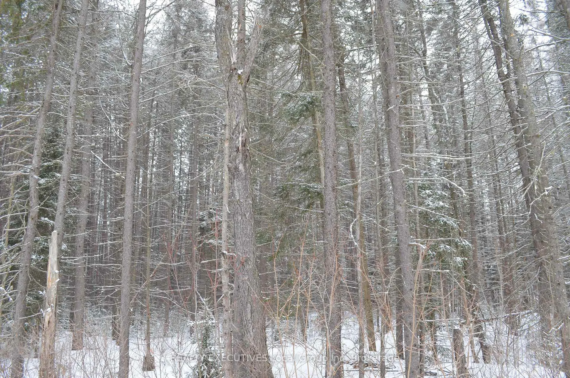 Photo 41 of 71 Black Creek Road N, Nipissing — HOMEH
