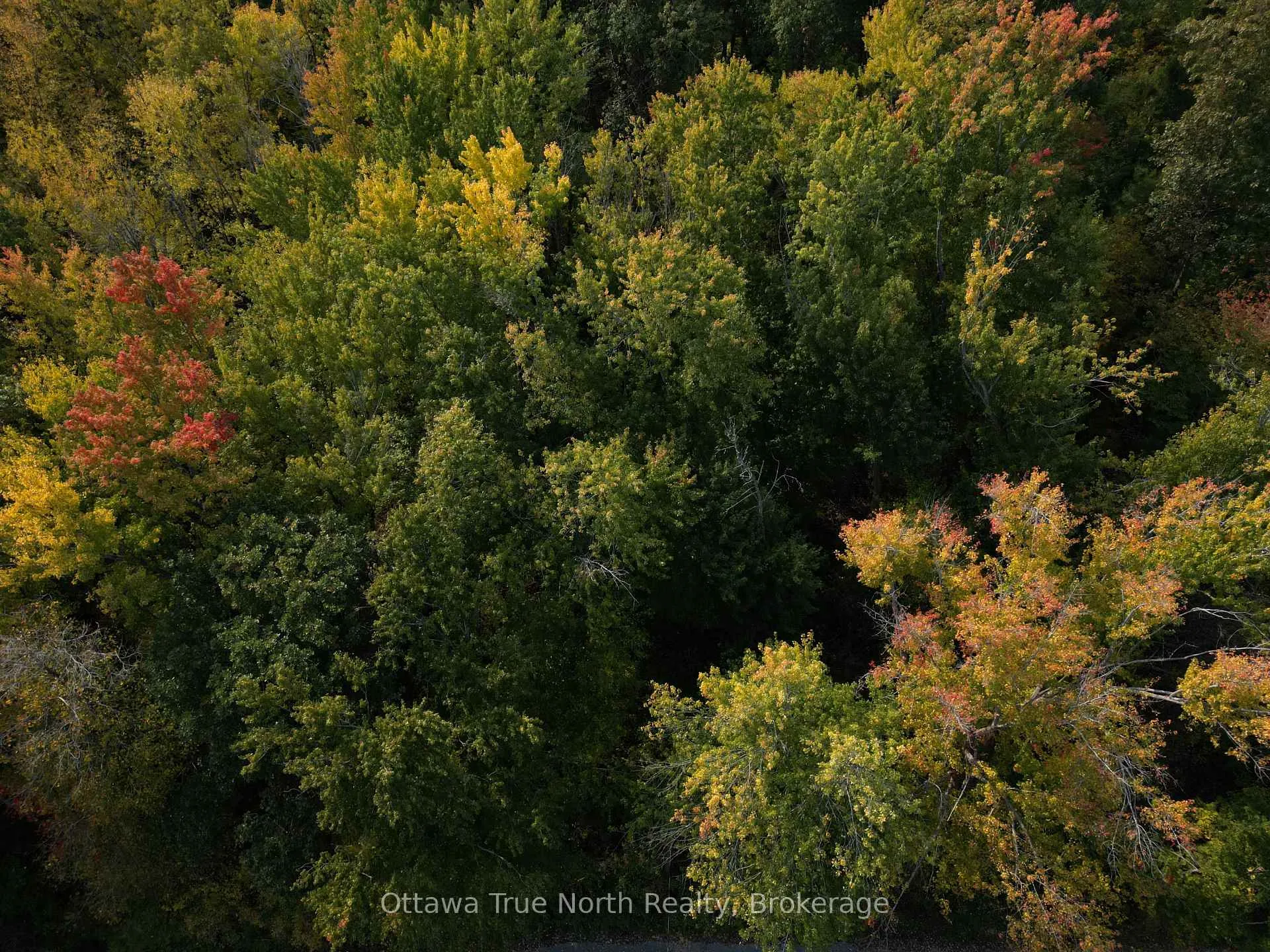 Photo 10 of 101 Allbirch Road, Ottawa, Constance Bay — HOMEH