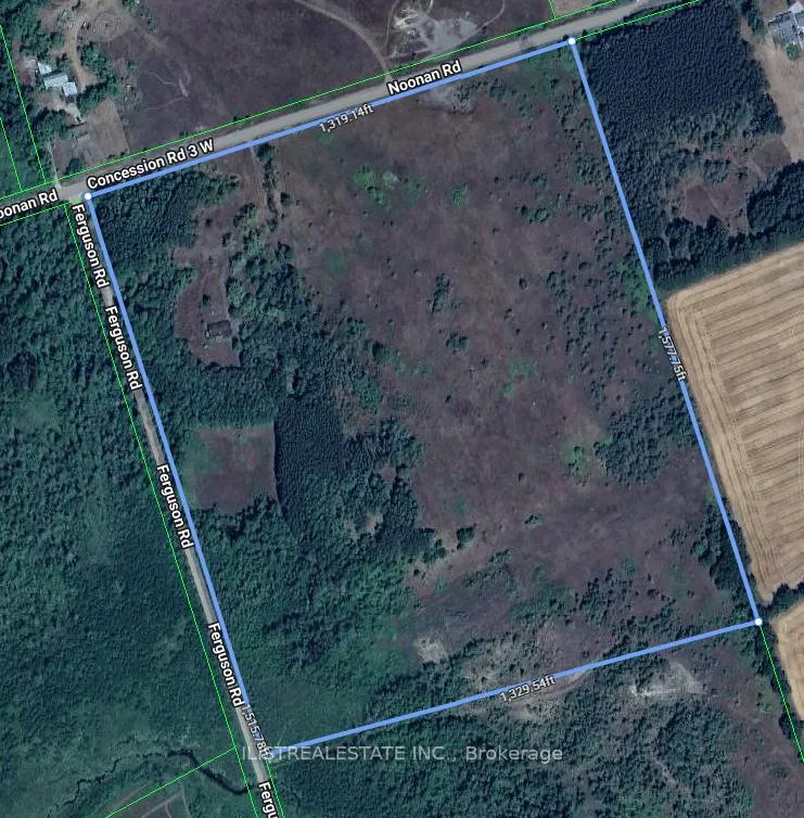 Photo of 557 Noonan Road