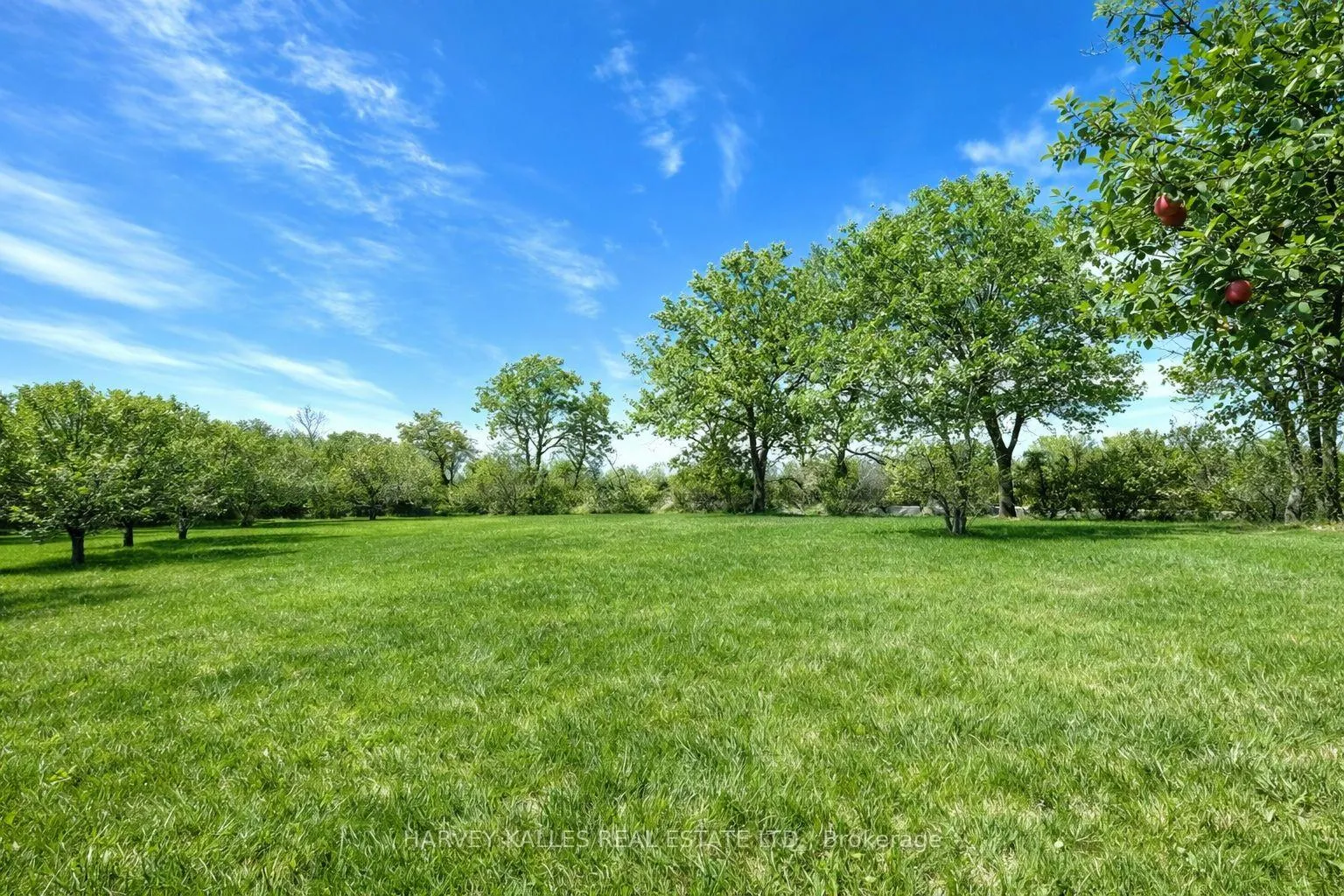 Photo 11 of 11 Melville Road, Prince Edward County, Hillier Ward — HOMEH
