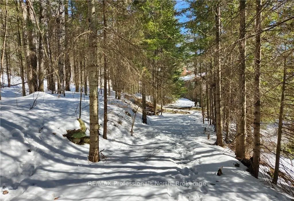 Photo 27 of Poverty Bay Trail, Minden Hills, Minden — HOMEH