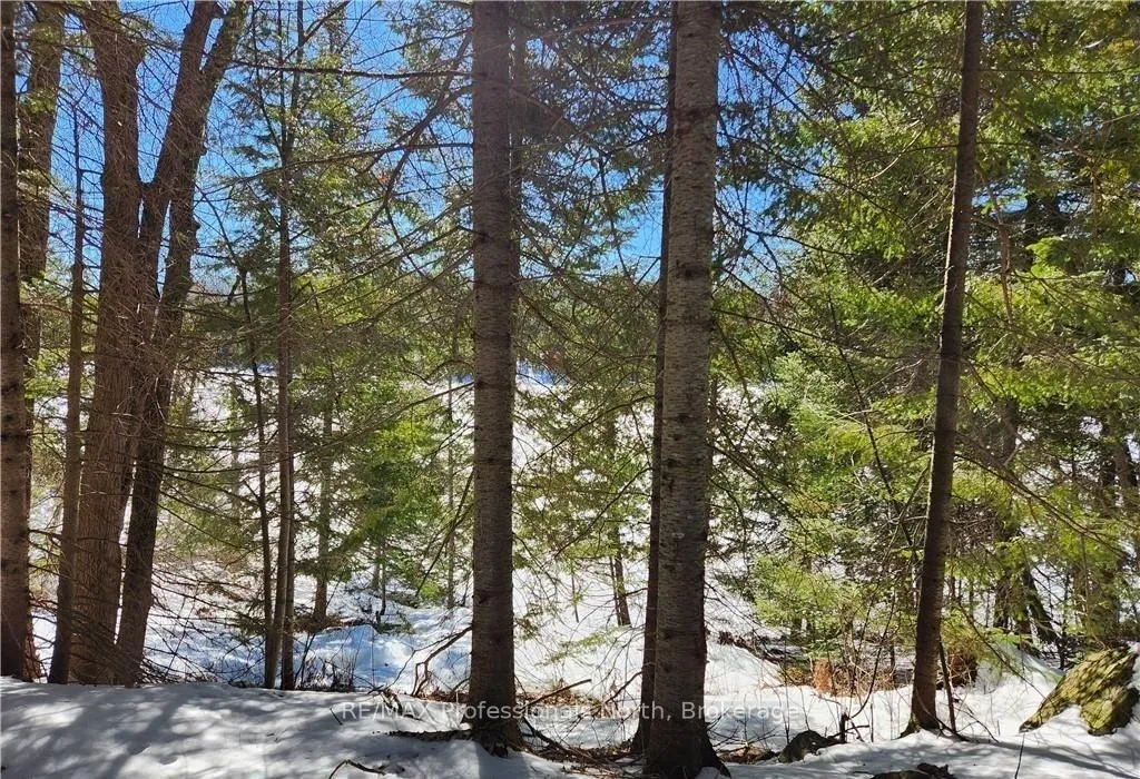 Photo 26 of Poverty Bay Trail, Minden Hills, Minden — HOMEH