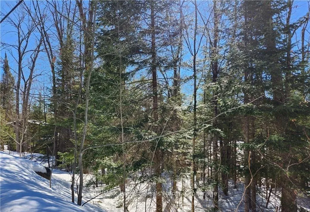 Photo 28 of Poverty Bay Trail, Minden Hills, Minden — HOMEH