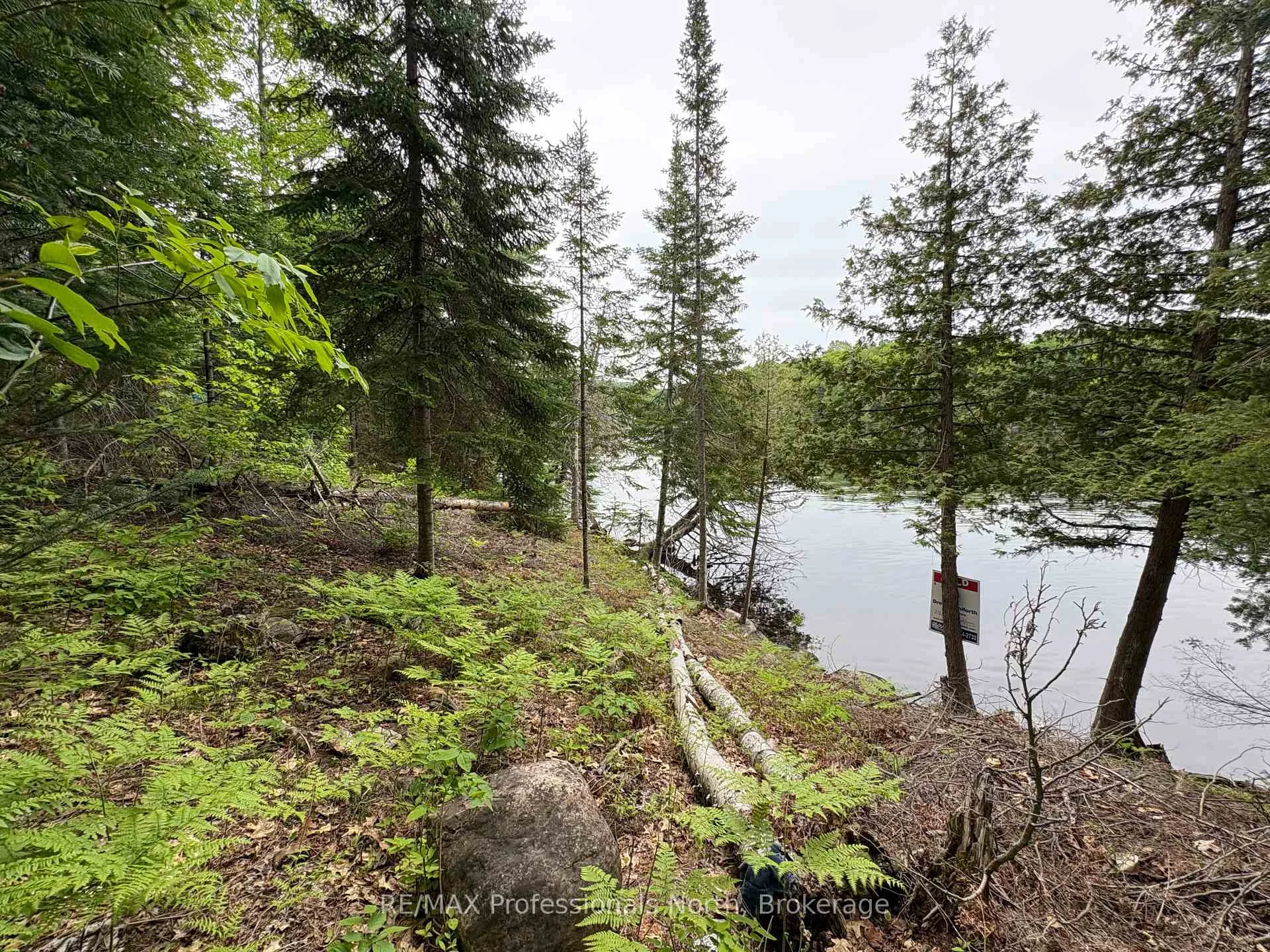 Photo 2 of Poverty Bay Trail, Minden Hills, Minden — HOMEH
