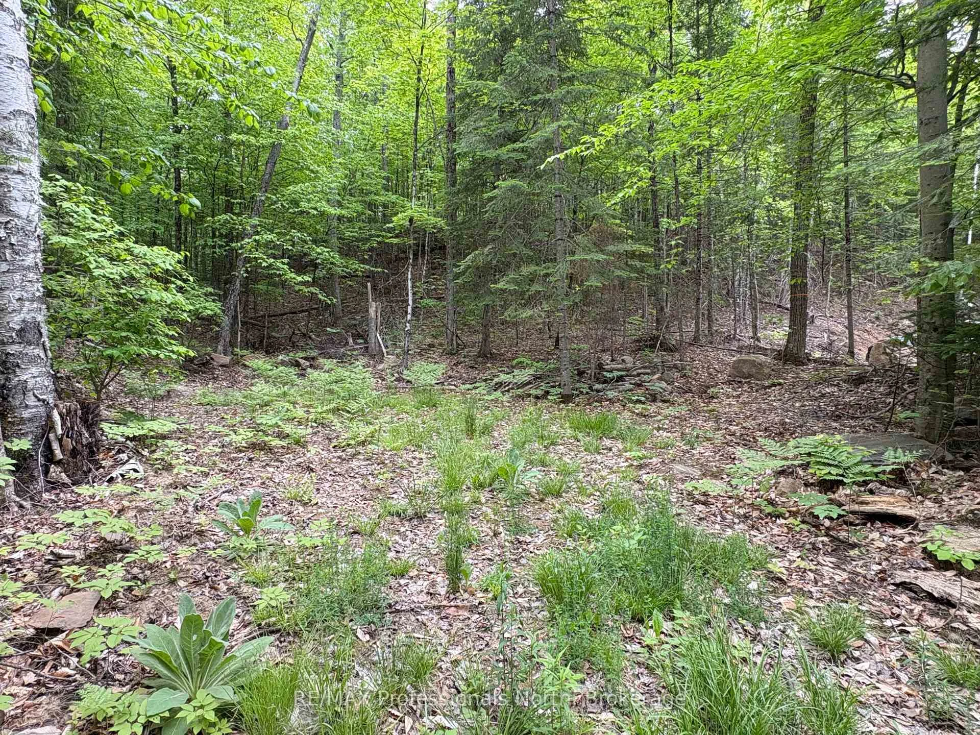 Photo 10 of Poverty Bay Trail, Minden Hills, Minden — HOMEH