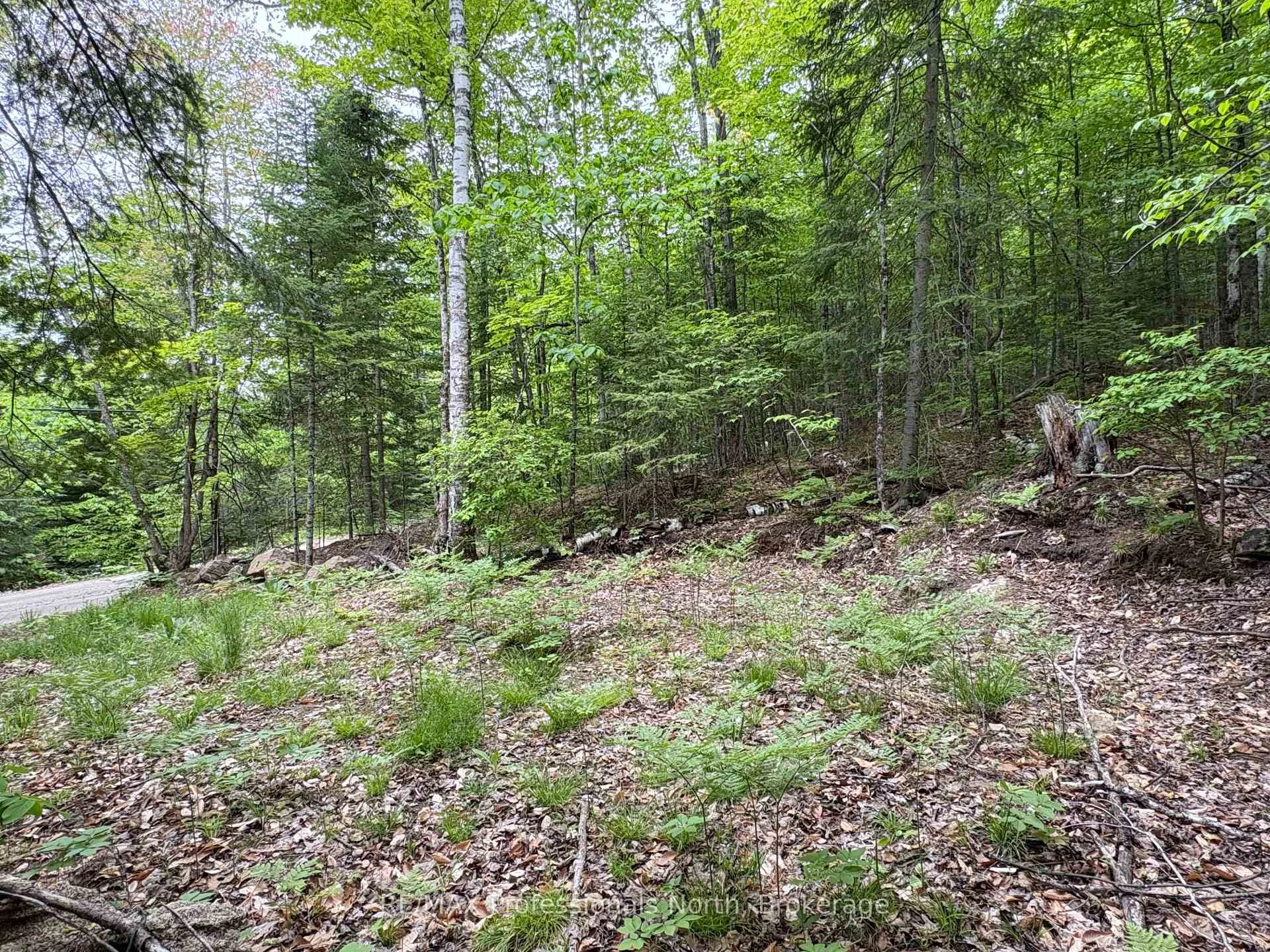 Photo 11 of Poverty Bay Trail, Minden Hills, Minden — HOMEH