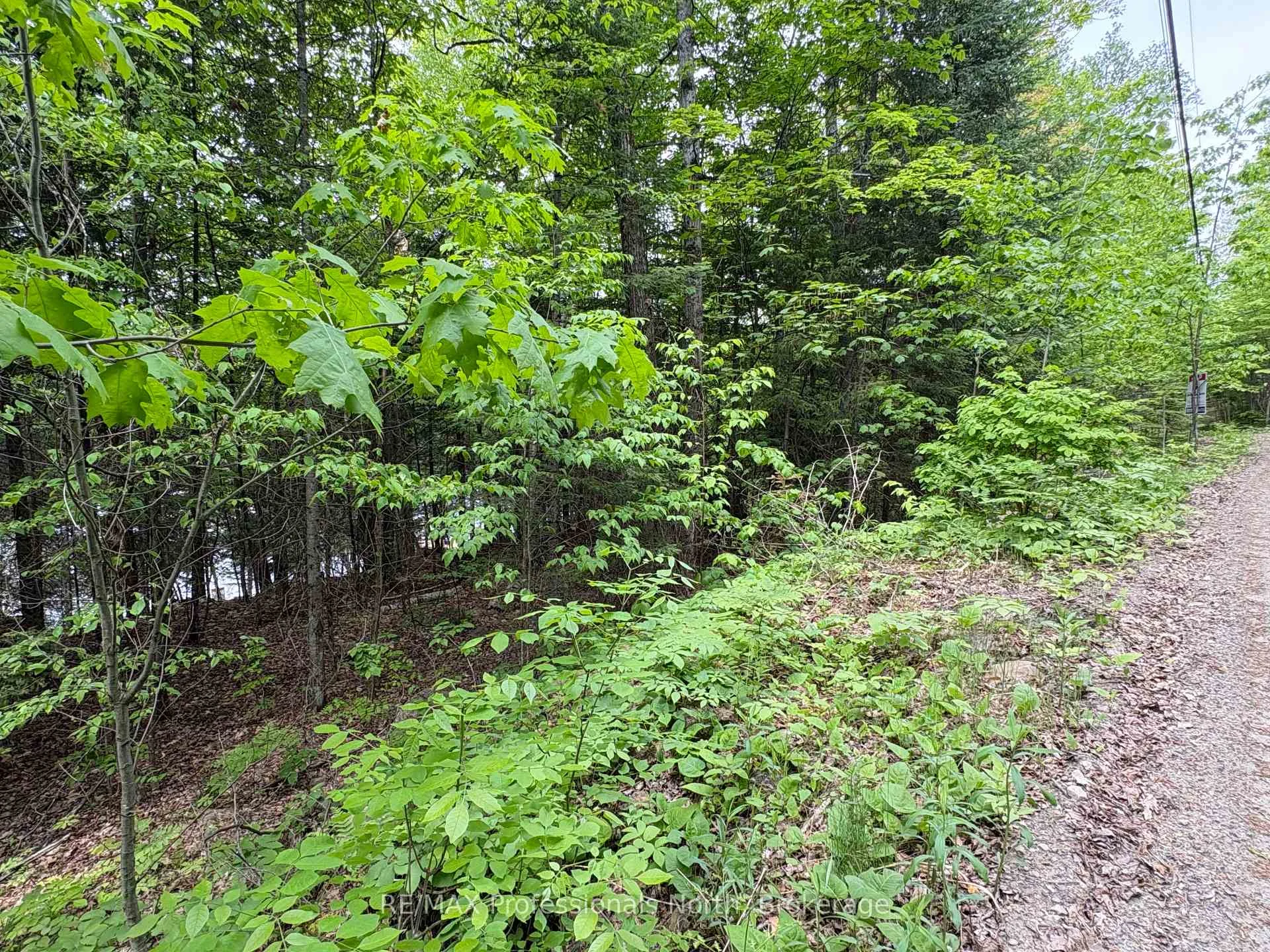 Photo 12 of Poverty Bay Trail, Minden Hills, Minden — HOMEH